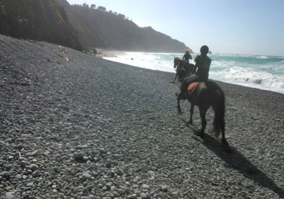 Playa Los molinos Ruta caballo Playas 1 día - 5 horas
