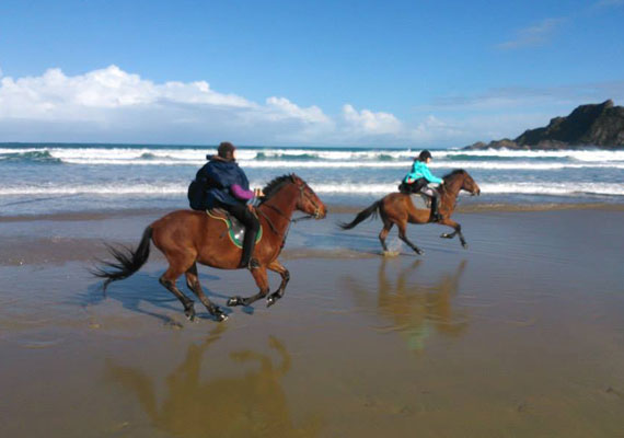 Galope en San Pedro Ruta caballo Playas 1 día - 5 horas