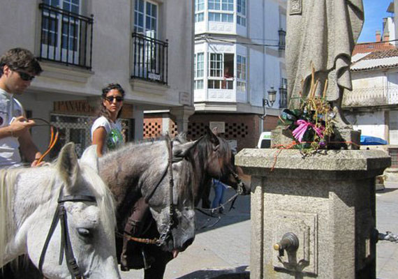 Ruta a caballo Santiago de Compostela - 8 días 