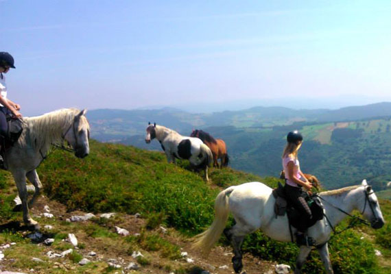 Monte Pascual - caballos salvajes 1 día - 6 horas 