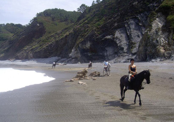 Paseo los molinoaRuta caballo Playas 1 día - 5 horas