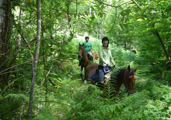 Horseback riding through the woods Balsera.